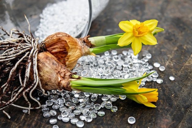 7 Sensational Sources for Flower Bulbs | Flower Gardening