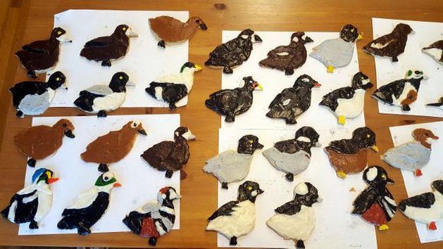 BotM Bird Cookies Decorating