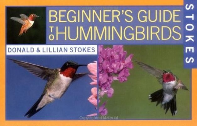 Hummingbird Gifts Beginner's Guide