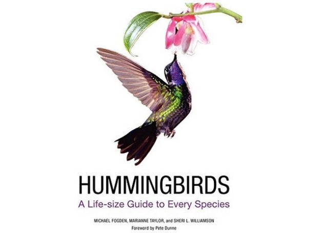 Hummingbird Gifts Complete Guide