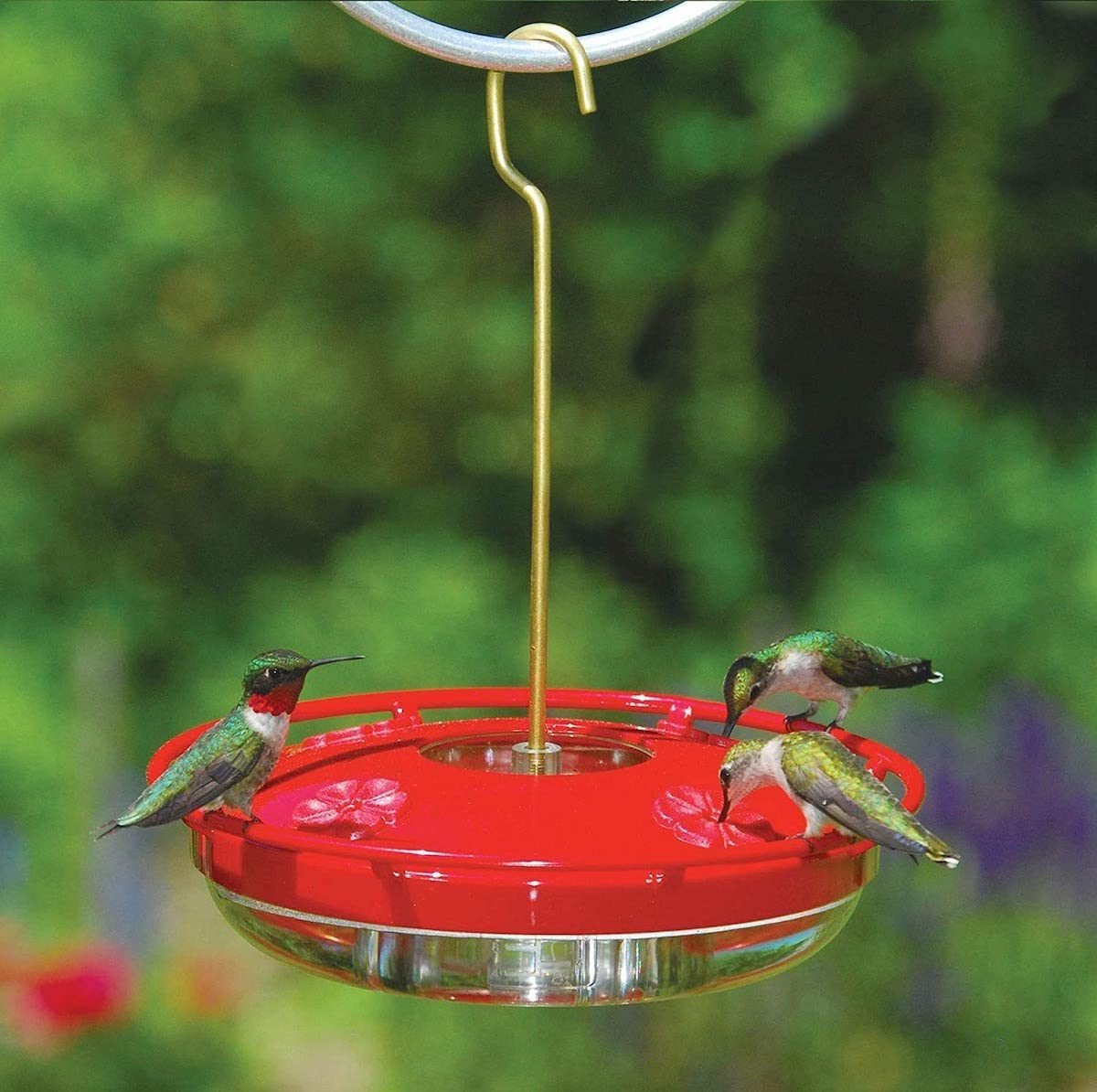Keeps Bees & Wasps Out of Feeders Details about   Aspects Hummzinger Nectar Guard Tips #384 