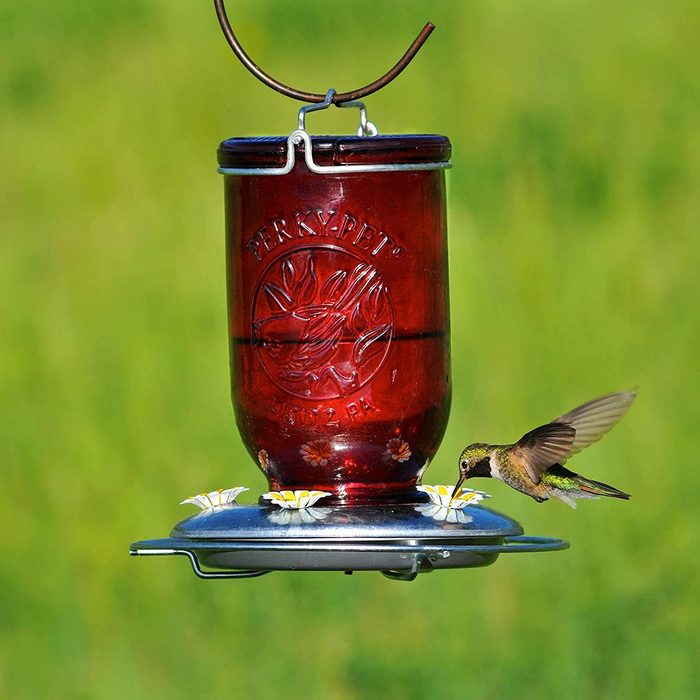 Mason jar unique hummingbird feeder