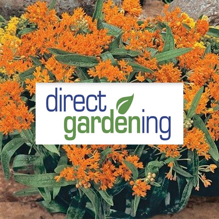 direct gardening