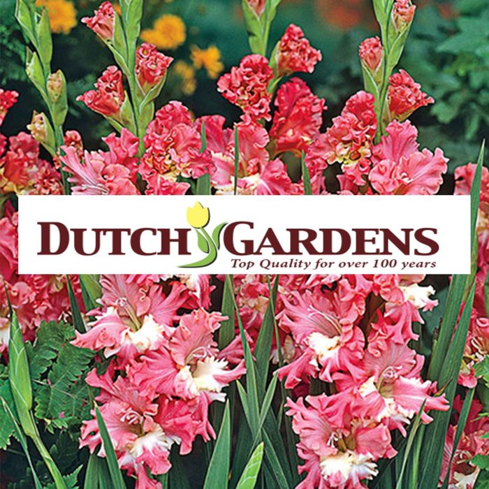 dutch gardens