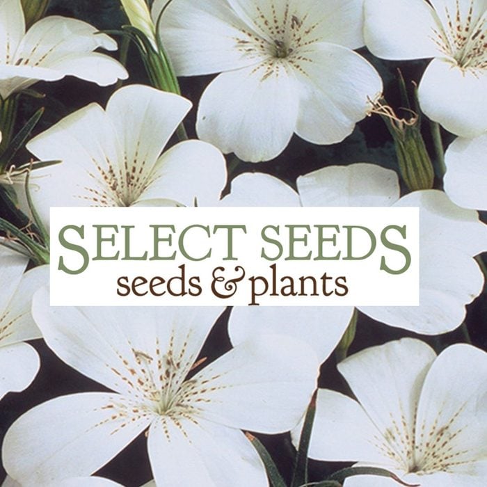select seeds