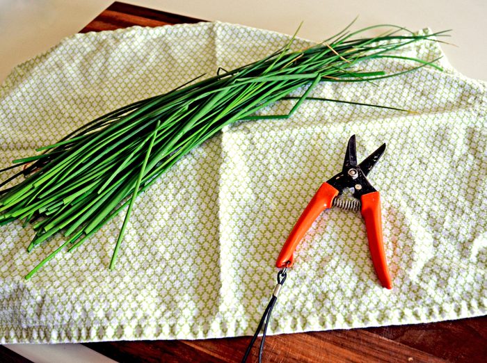 Freshly cut chives sitting on a kitchen towel.