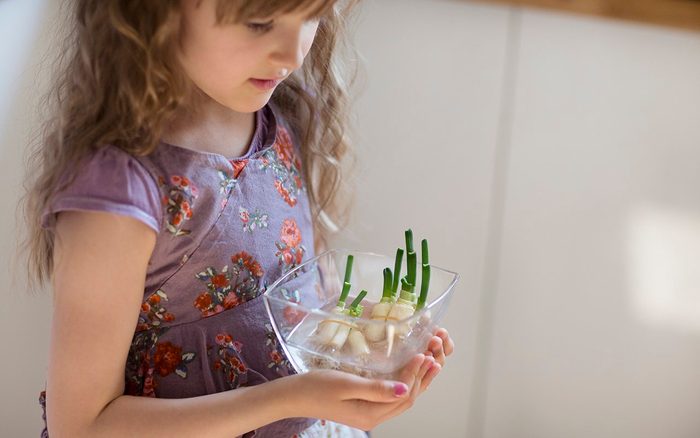 Child holding a bowl of leftover spring onion roots starting to regrow green shoots
