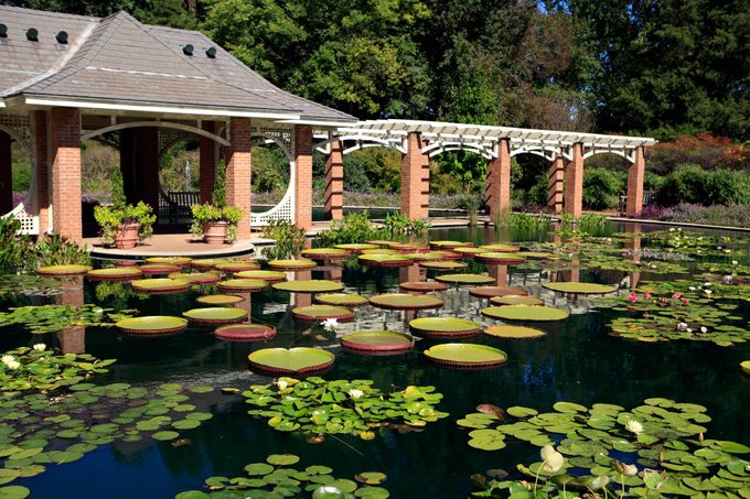 Huntsville Botanical Gardens Water Garden
