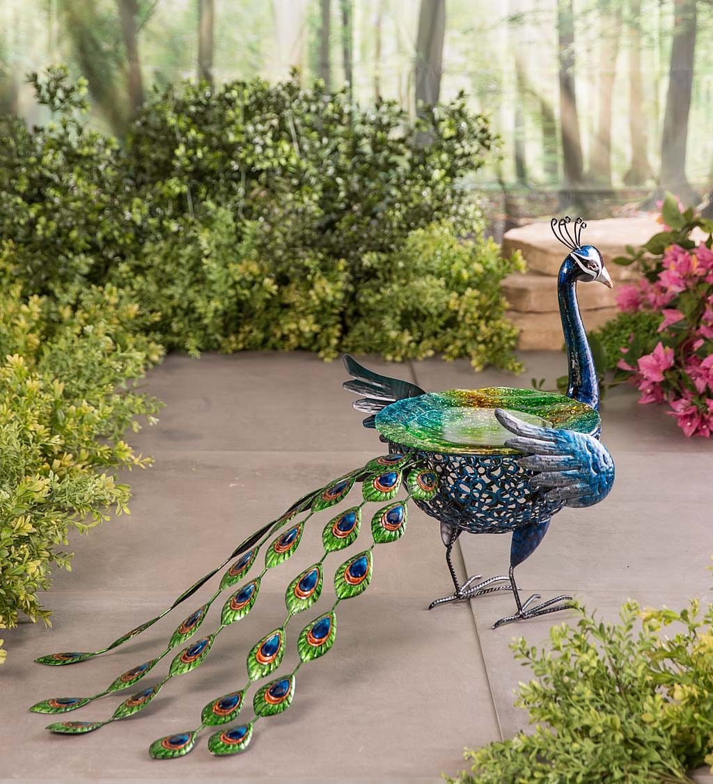 Metal peacock birdbath