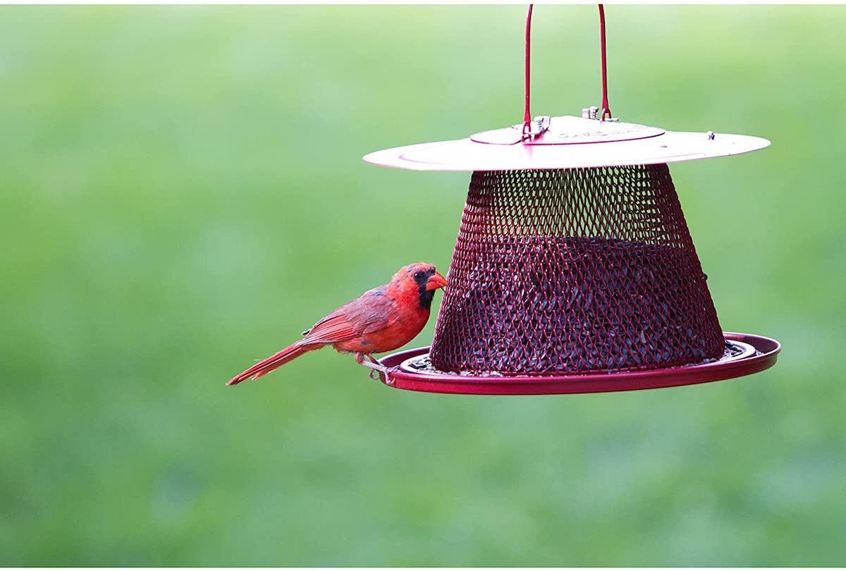 Details about   JCs Wildlife Large Cardinal Red Tray Ground Bird Feeder 