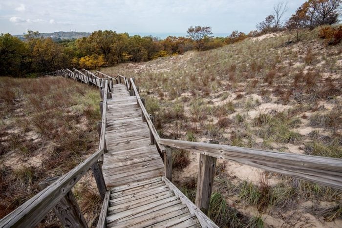 Indiana Sand Dunes State Park Fall Colors