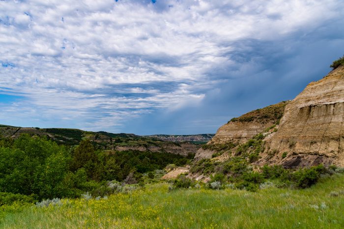 Landscapes of Theodore Roosevelt National Park in July