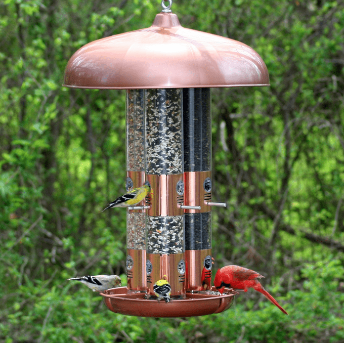 Perky-Pet C00322 Red Cardinal Bird Feeder & Wagner's 76027 Black Oil Sunflower Wild Bird Food 25-Pound Bag 