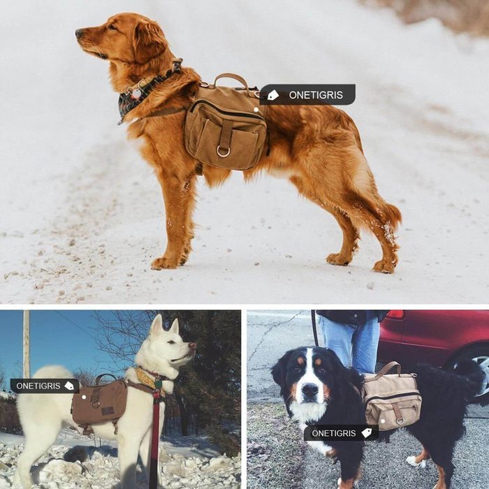 dog pack saddlebag