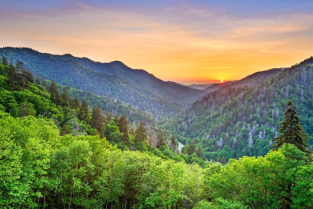 A scenic photo of Newfound Gap in the Great Smoky Mountains