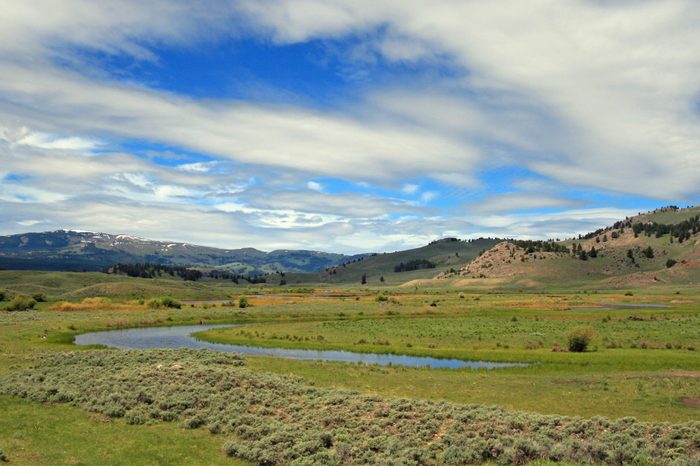 View of Slough Creek (wolf habitat) under lenticular and cumulus clouds in the Lamar Valley of Yellowstone National Park in Wyoming USA