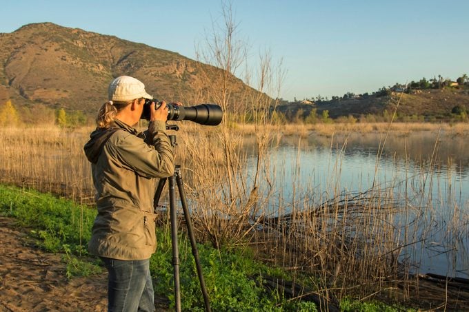 A photographer uses a long camera lens to get closeups of wildlife.