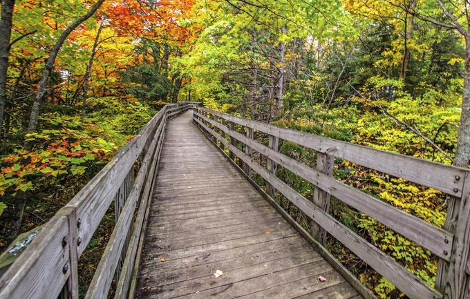 Boardwalk along a trail in the Hiawatha National Forest located in the Upper Peninsula of Michigan