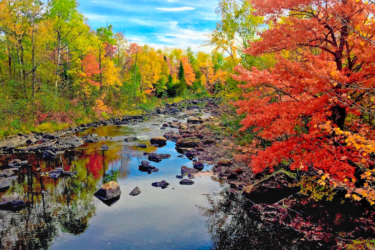 Take an Amazing Road Trip Through Maine in Fall - Birds and Blooms