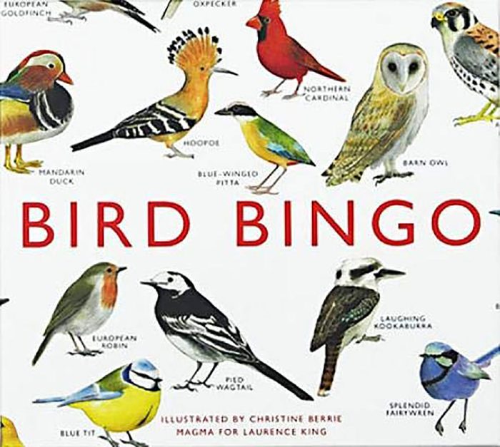 Bird Bingo Game, bird toys for kids