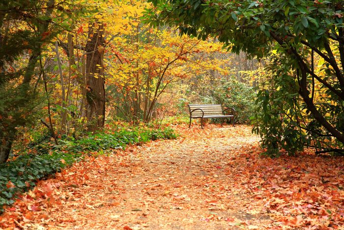 Lithia Park in Autumn, Oregon-USA