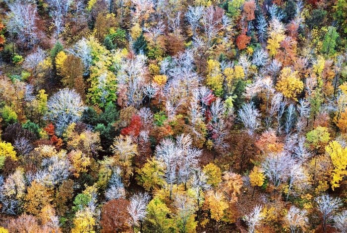 A tapestry of fall colors in Pennsylvania