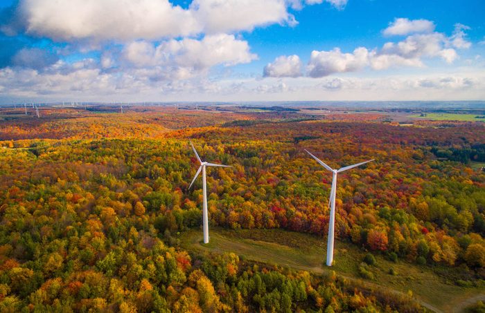 Wind turbines dot a landscape of fall foliage in New York.