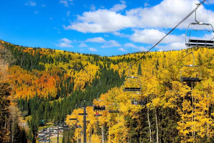 View of fall colors from ski lift in Sante Fe National Forest