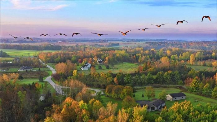 Aerial view of fall colors in Wisconsin with geese flying over farmland