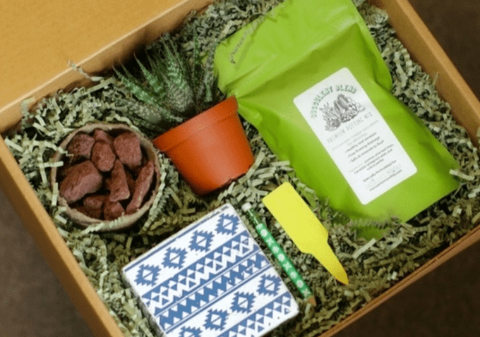 plant subscription box