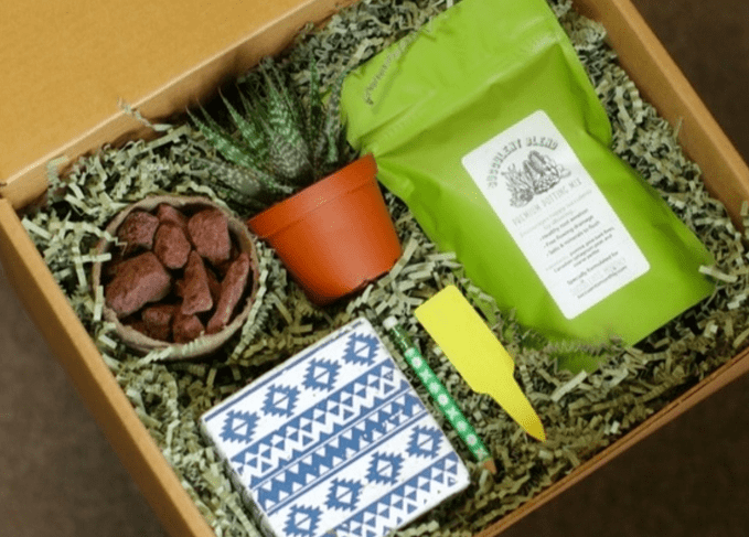 Succulent plant gardening Subscription Box