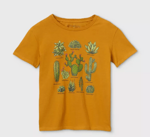 14 Cute Cactus Gifts for Cactus Lovers - Birds and Blooms