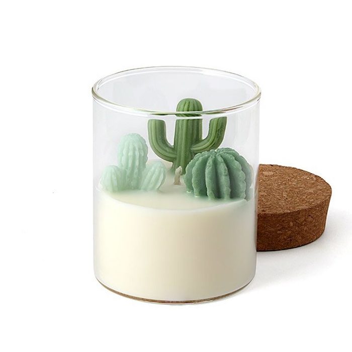 Cactus terrarium candle