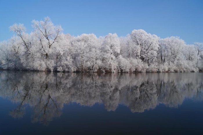 beautiful winter photos, A smooth lake reflecting a row of frosted trees on the opposite bank.