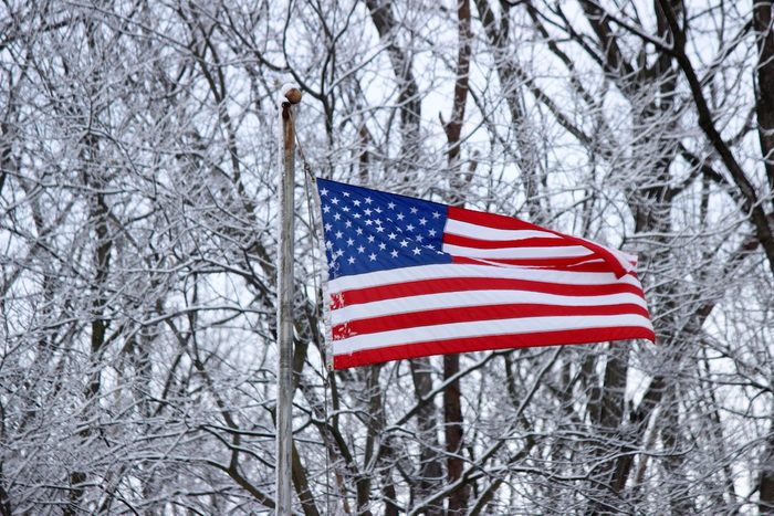 An American flag waving in front of snow-covered tree branches.