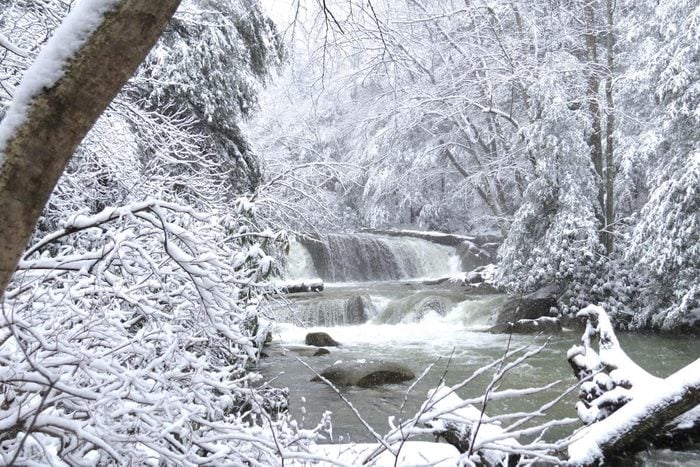 A waterfall on a frozen river with snow-covered trees on the banks.
