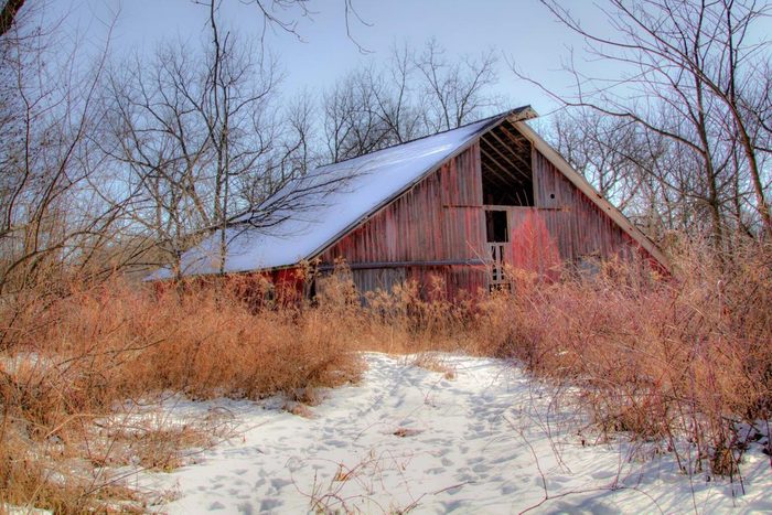 Old abandoned barn seen through grasses and a snow-covered path.