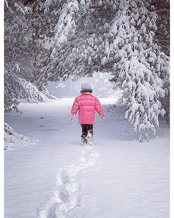 A little girl in a pink jacket walking between the trees in the snow.