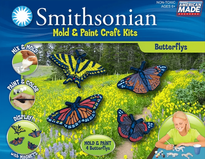 butterfly mold craft kit