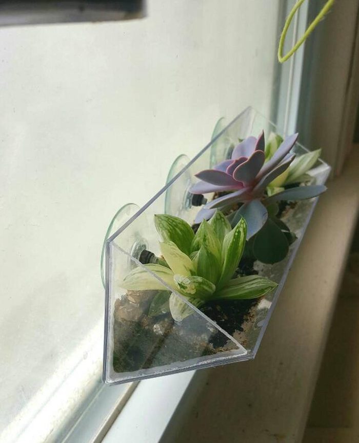 suction cup window planter