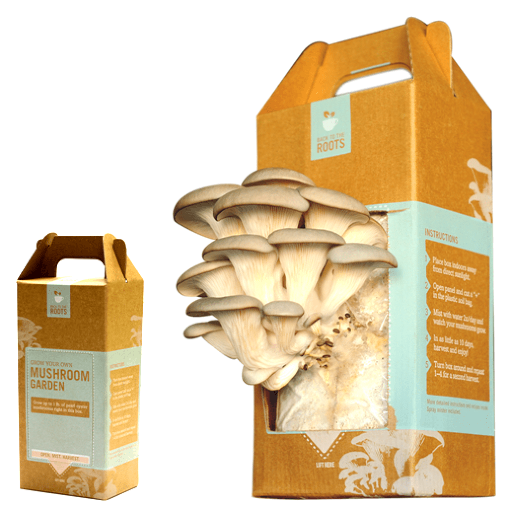 12" Shiitake Mushroom Log Grow Kit Organic Growing Garden Fast Growth 