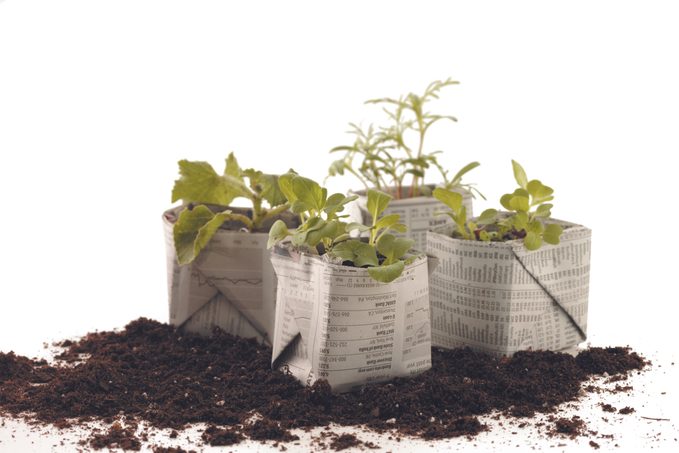 how to make newspaper pots