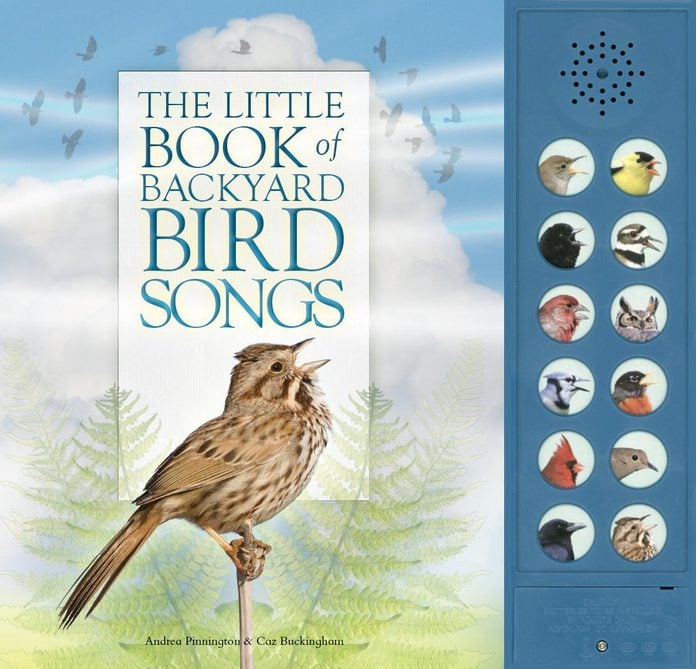 bird song book