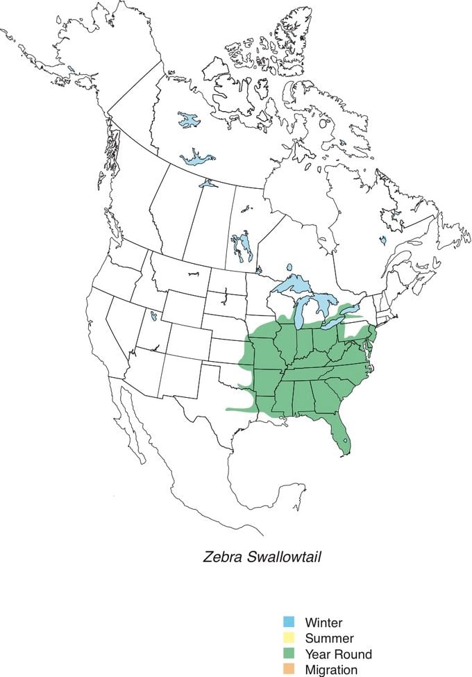 Zebra Swallowtail Map
