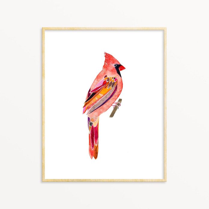 cardinal art print