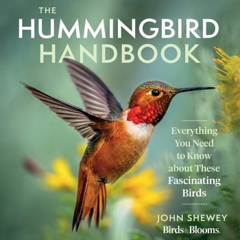 Shewey Hummingbirdhandbook Fullcover 120320.indd