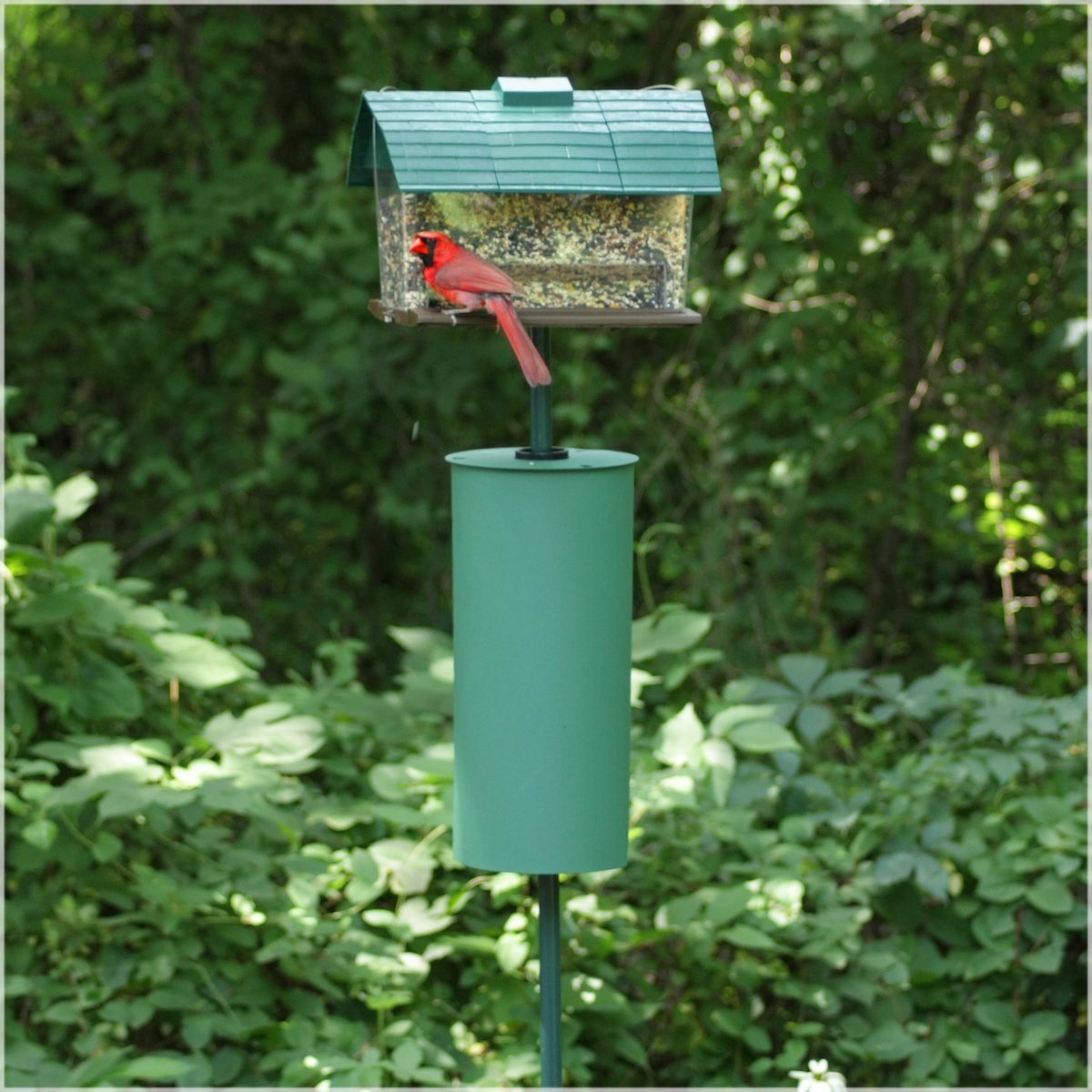Squirrel Proof Baffle To Guard Bird Feeder Seed And Suet 