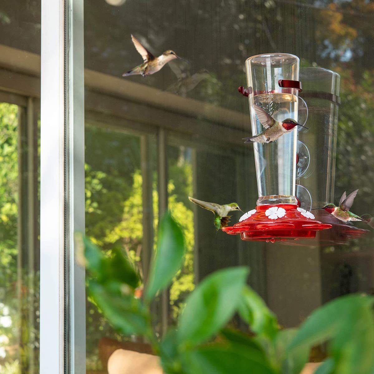 Up Close Viewing Twisted Tube Feeder Copper Window Hummingbird Feeder