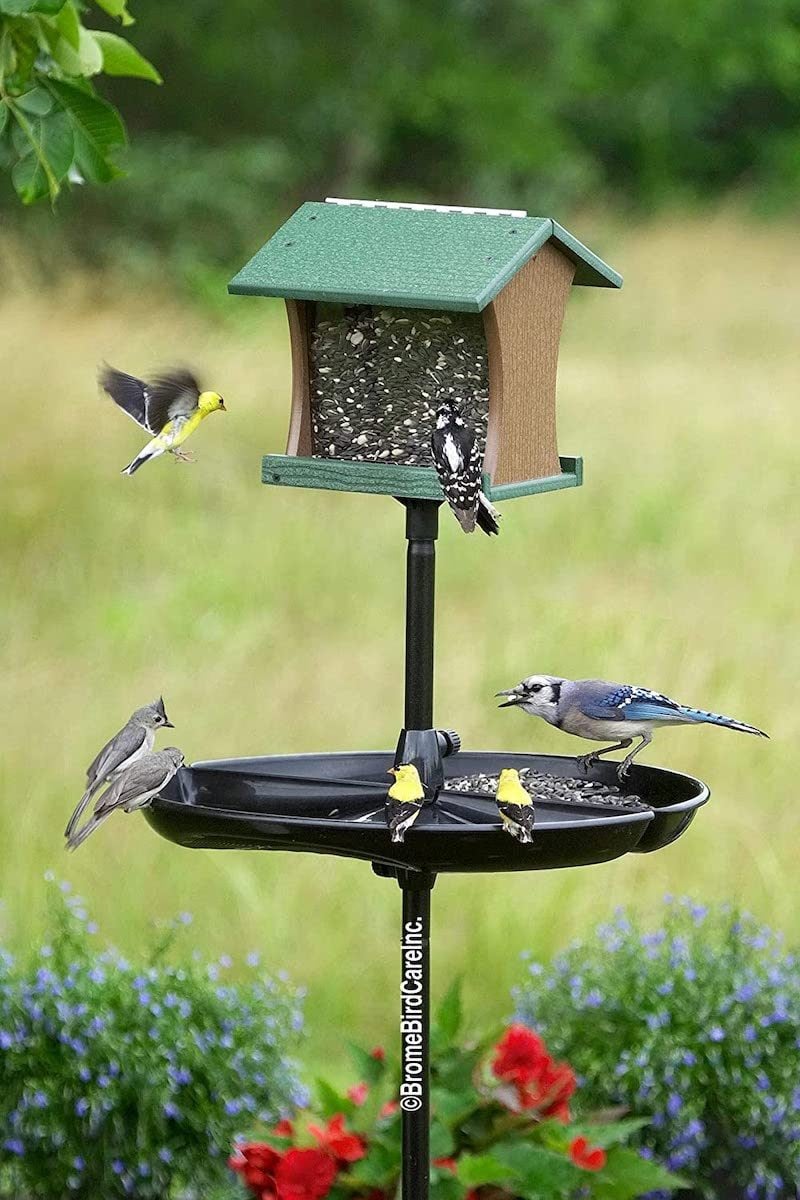 how to get rid of grackles at the bird feeder