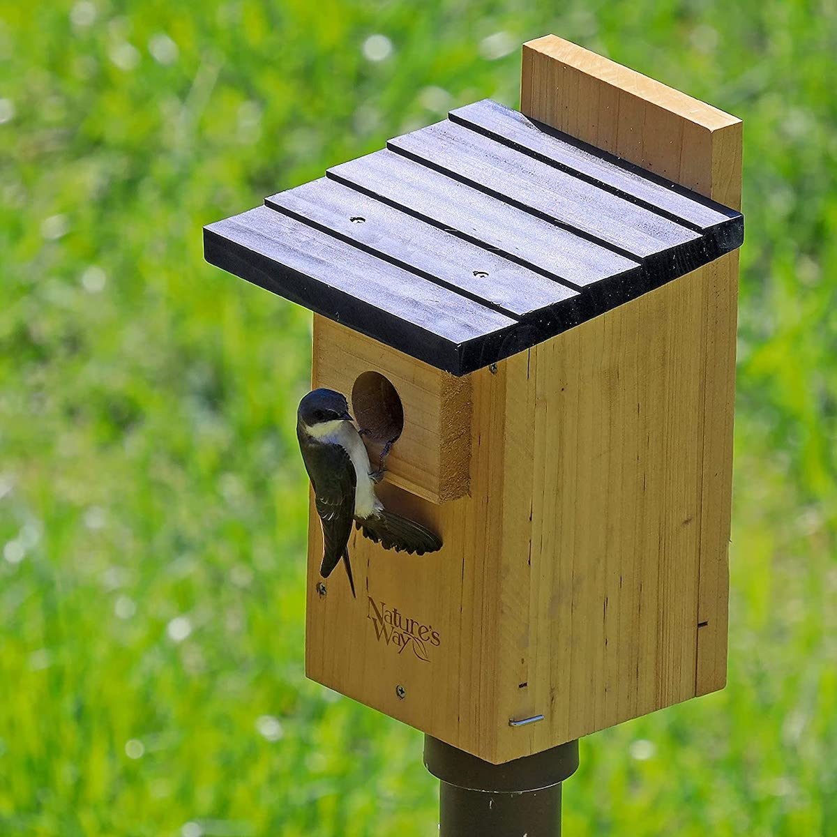 Michigan Bird House Birdhouse